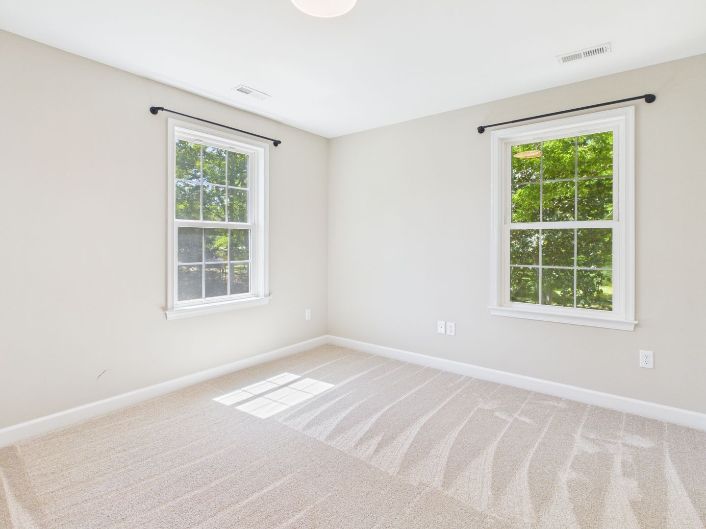 Gallery Image 19