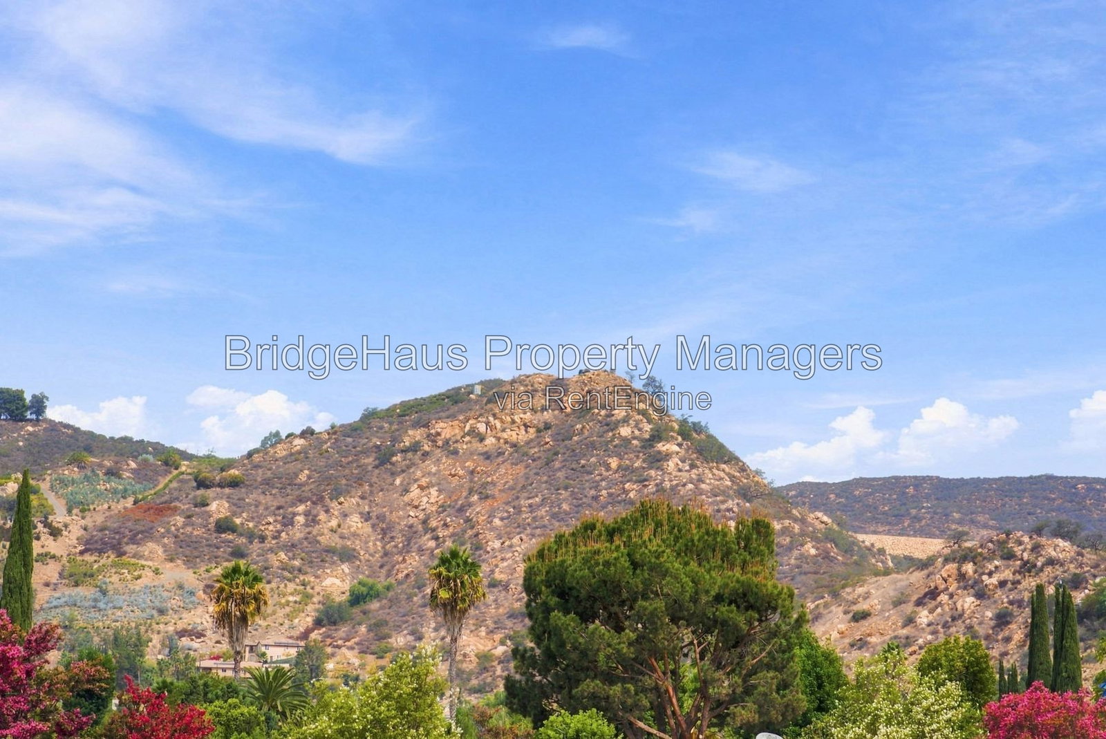 Gallery Image 36
