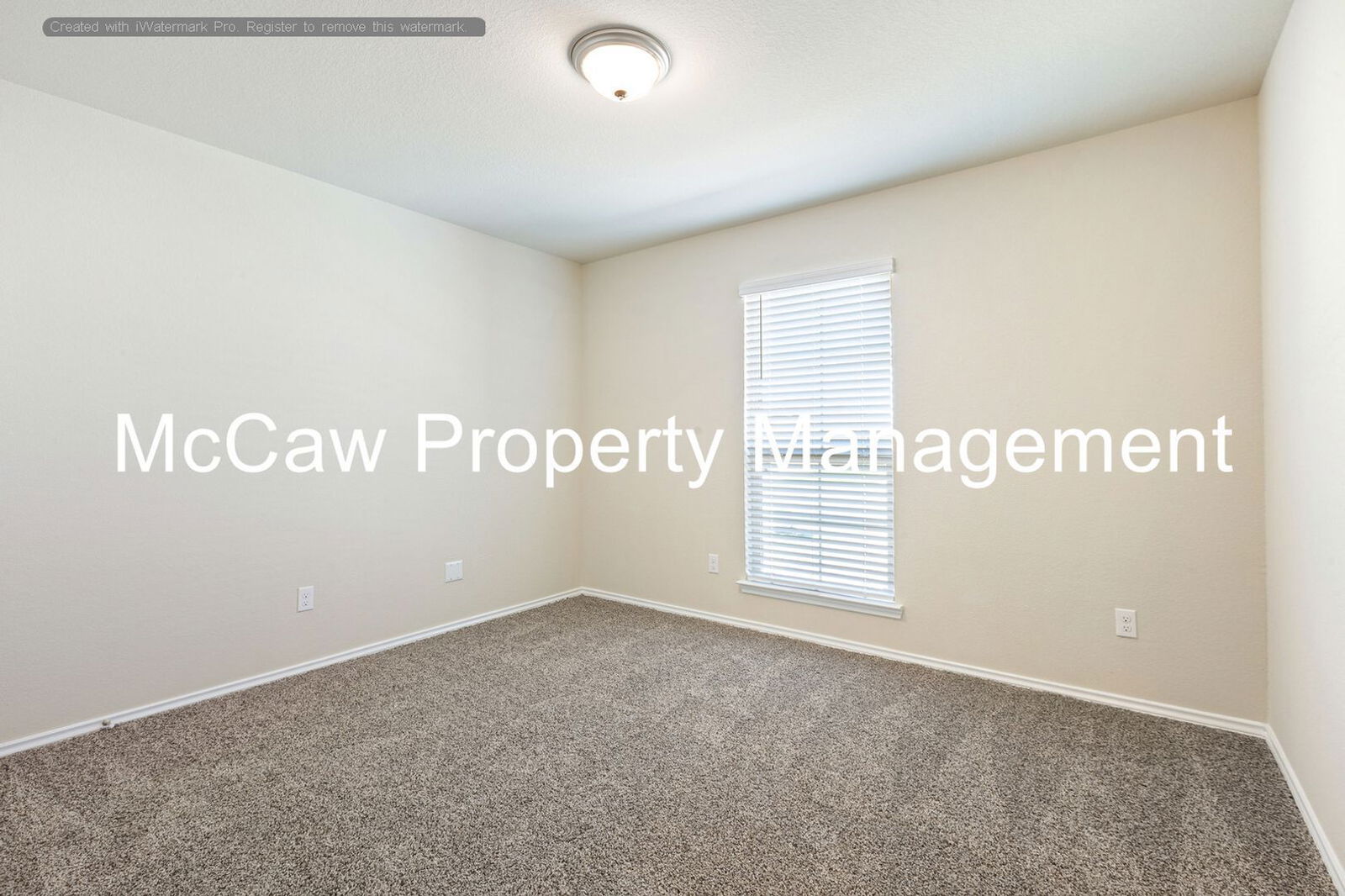 Gallery Image 19
