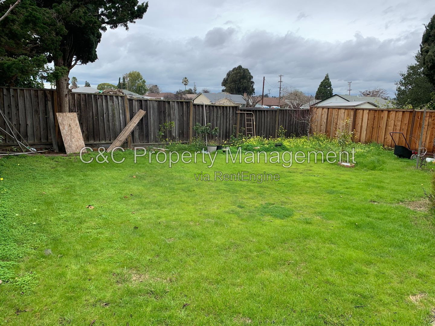 Gallery Image 16
