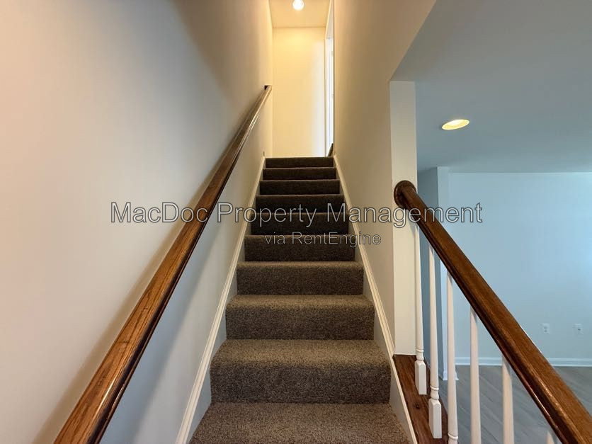 Gallery Image 20