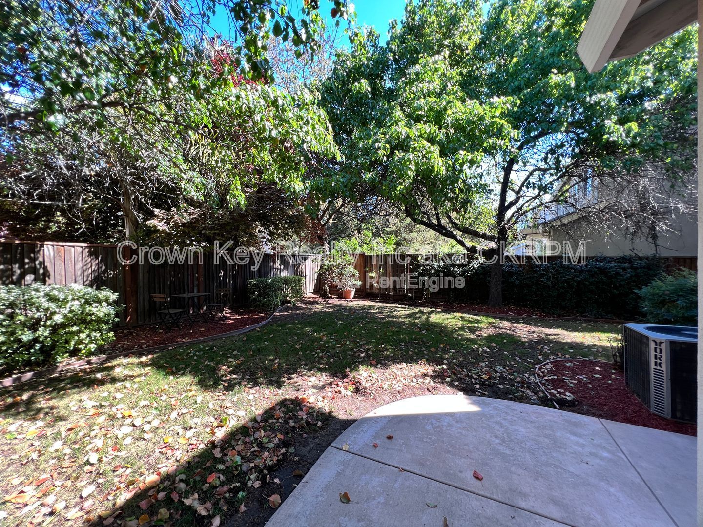 Gallery Image 37