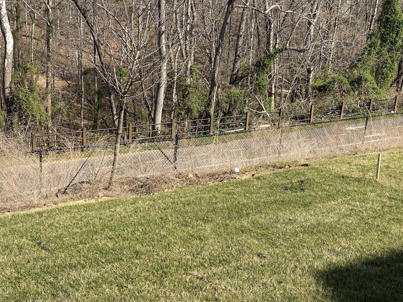 Gallery Image 40