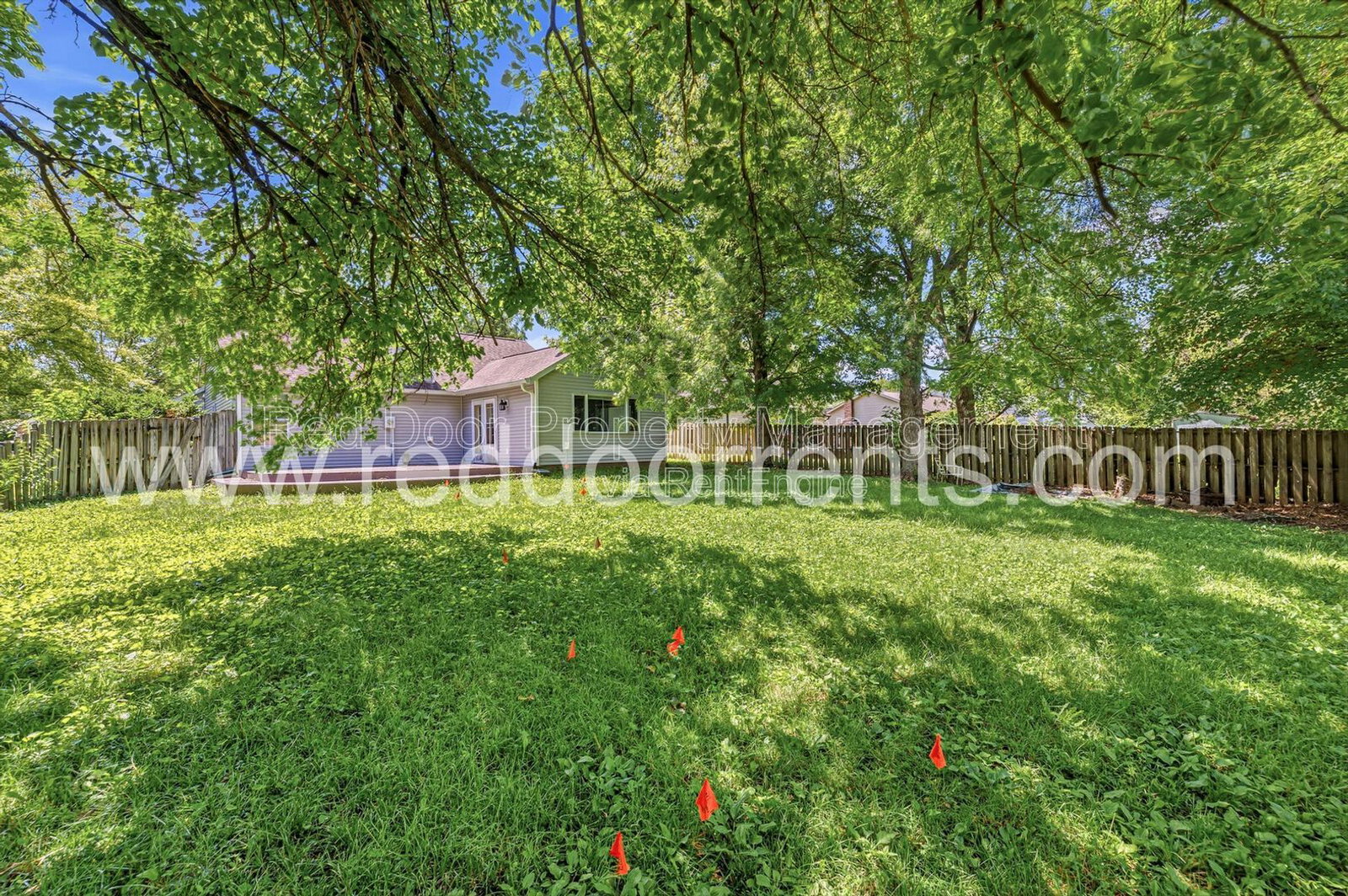 Gallery Image 28