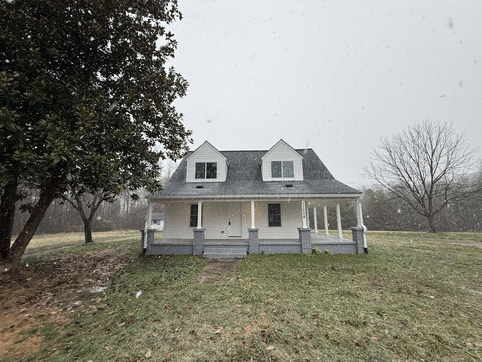 Gallery Image 0