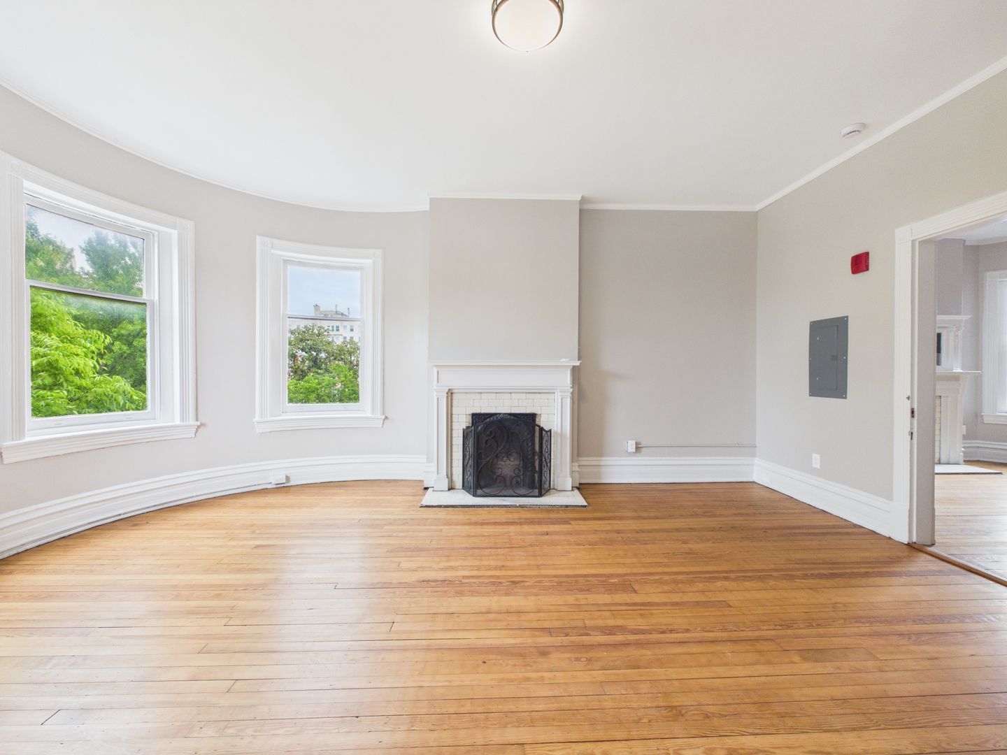 Gallery Image 8