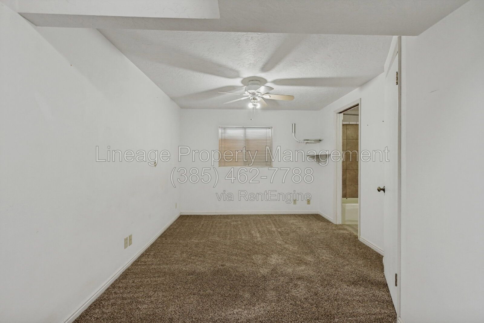 Gallery Image 21