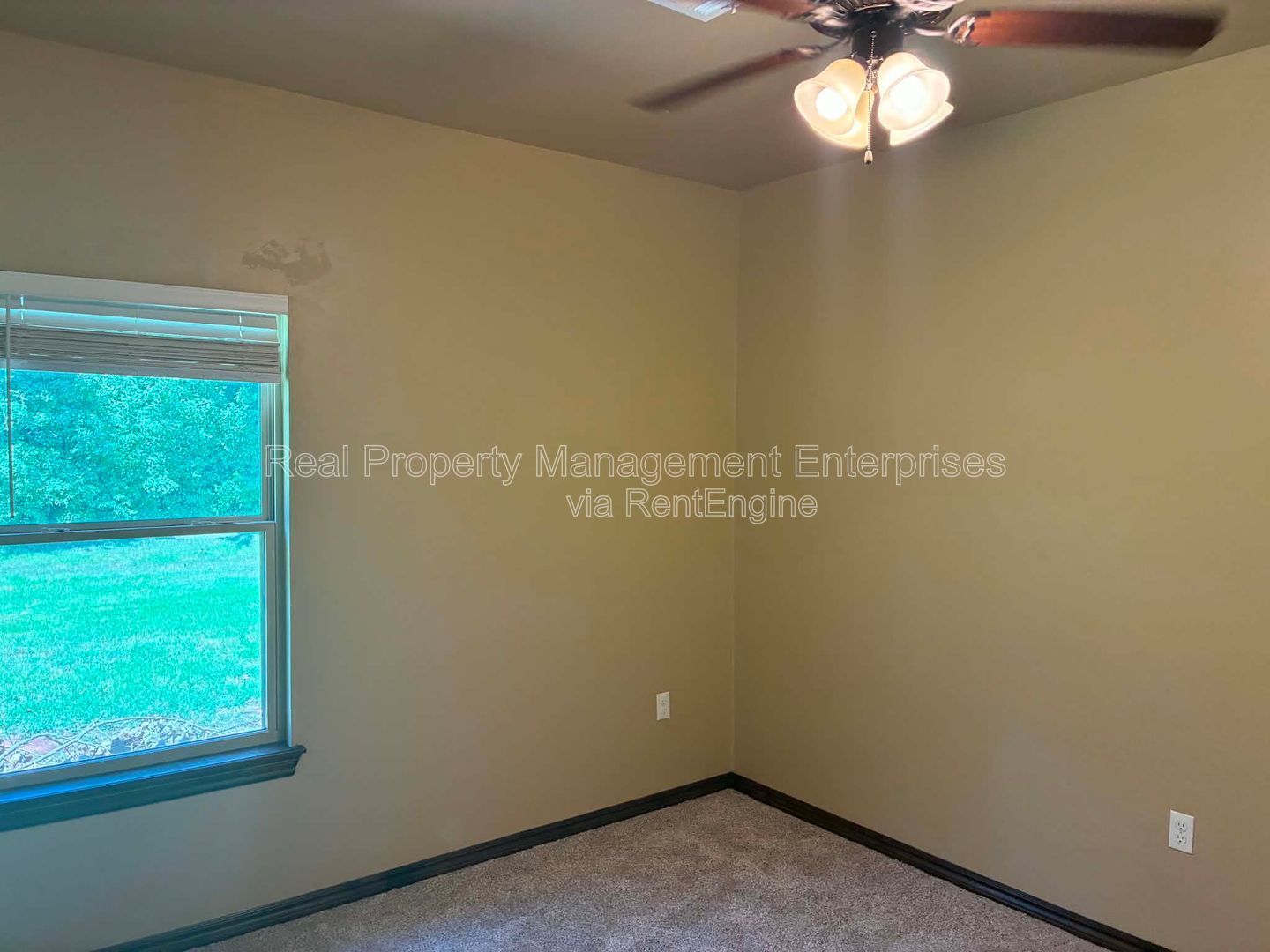 Gallery Image 37
