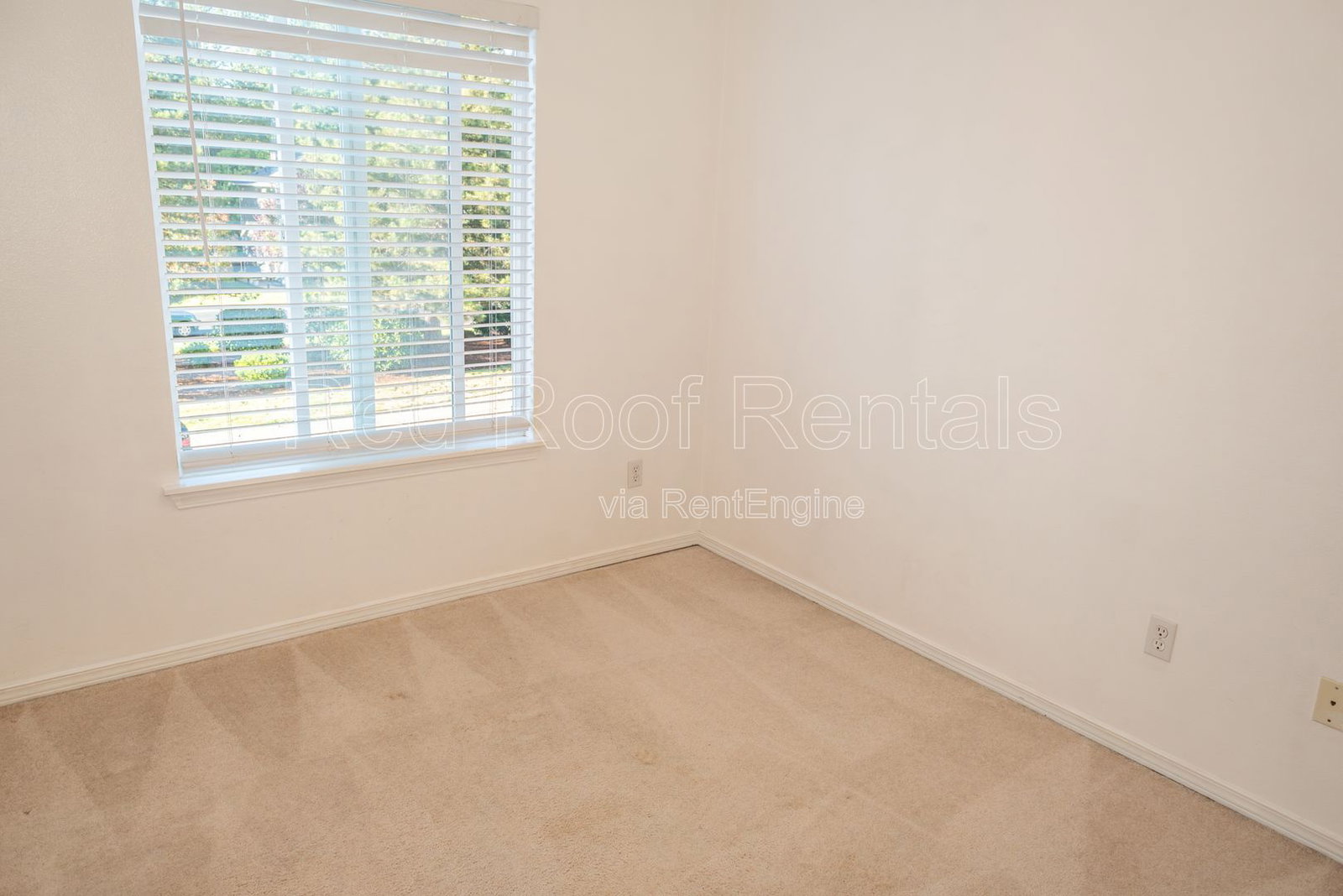 Gallery Image 19
