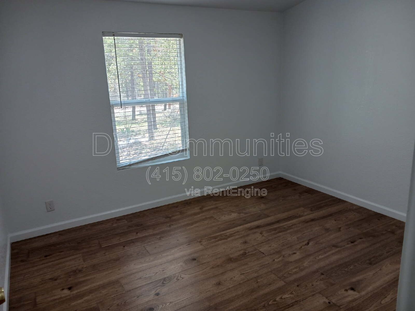 Gallery Image 16