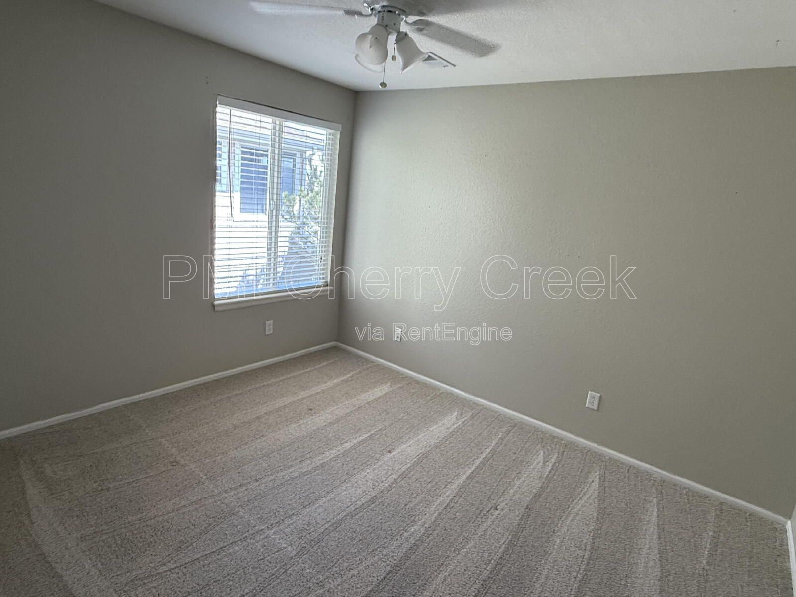 Gallery Image 49