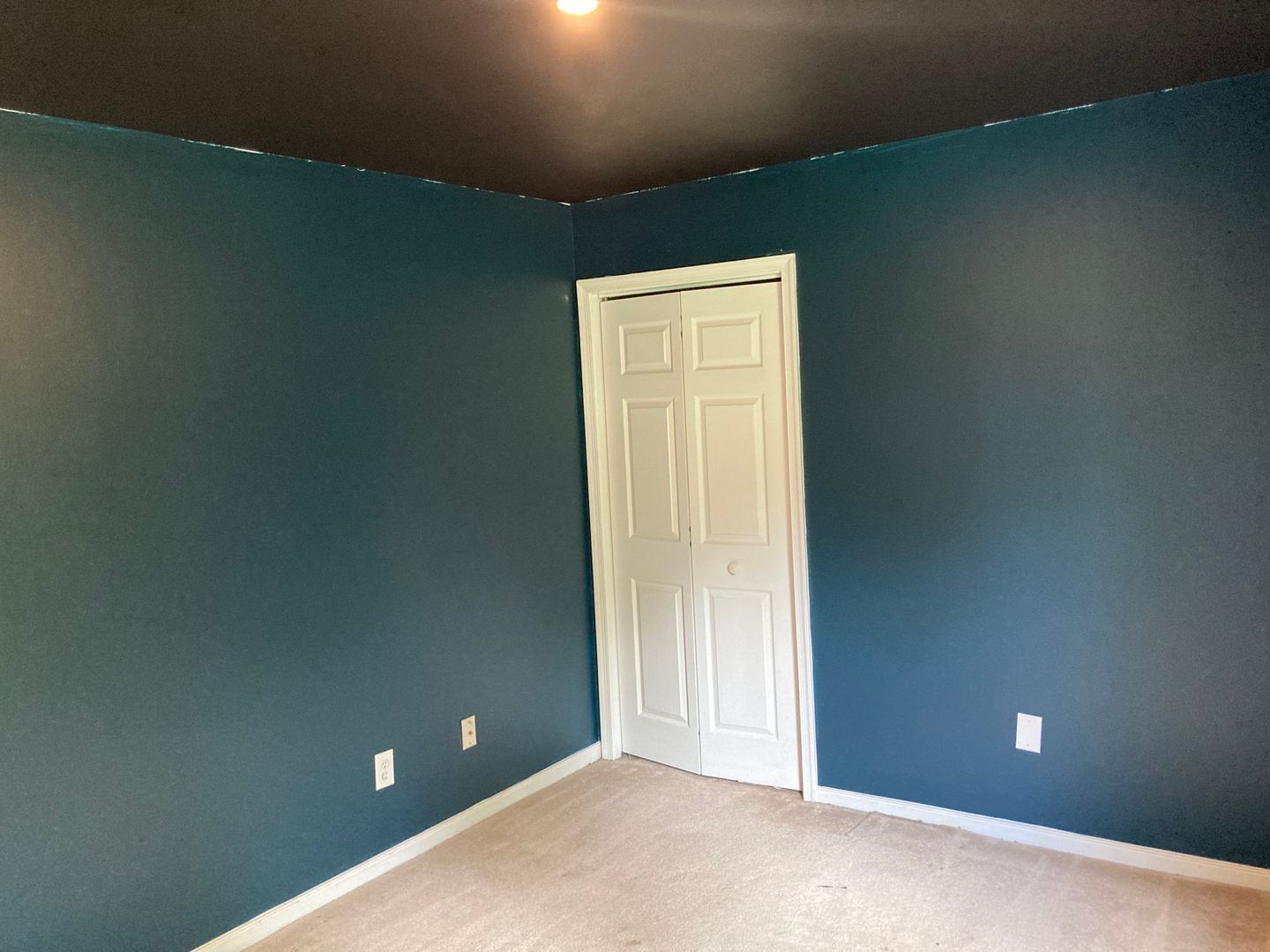 Gallery Image 16