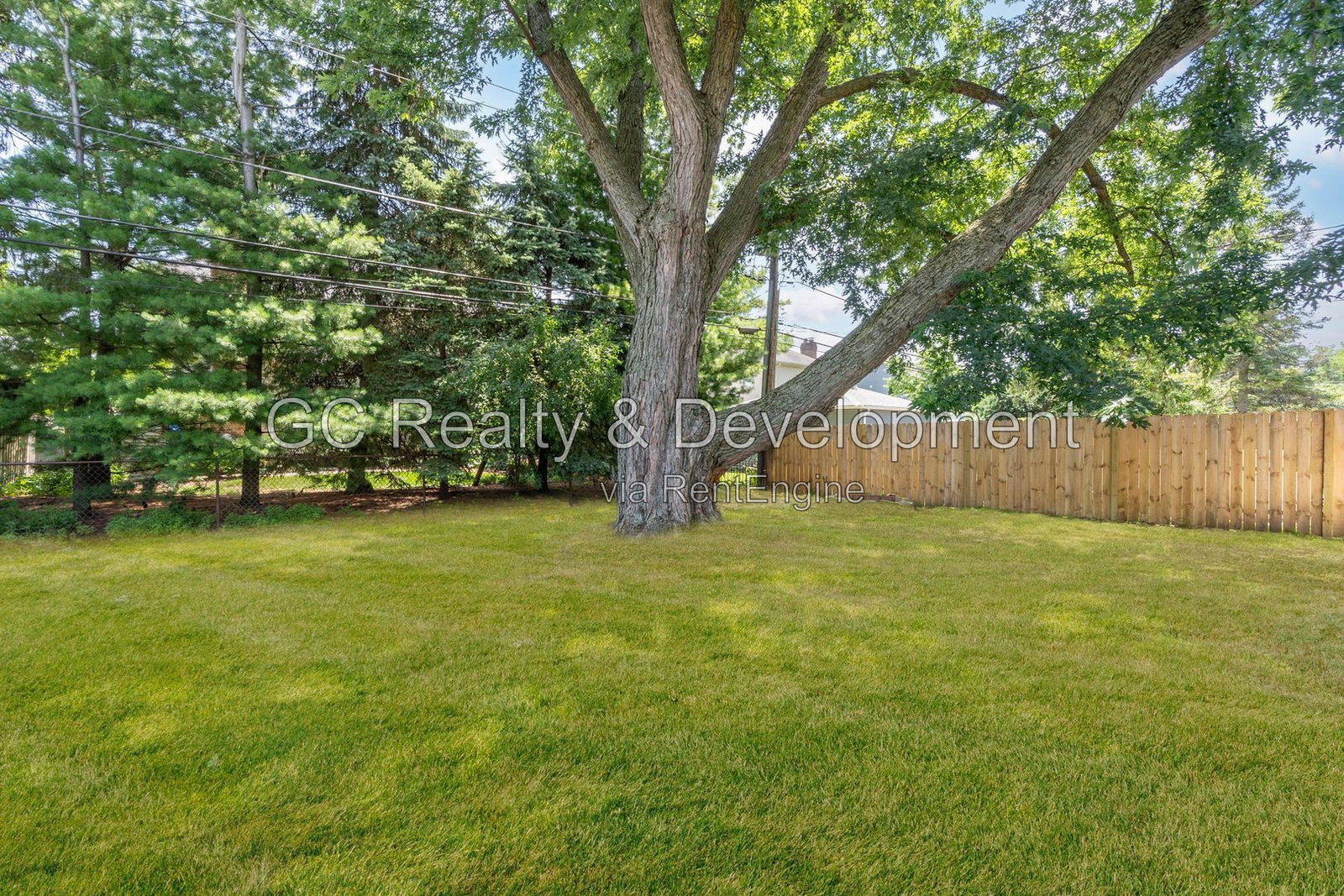 Gallery Image 19