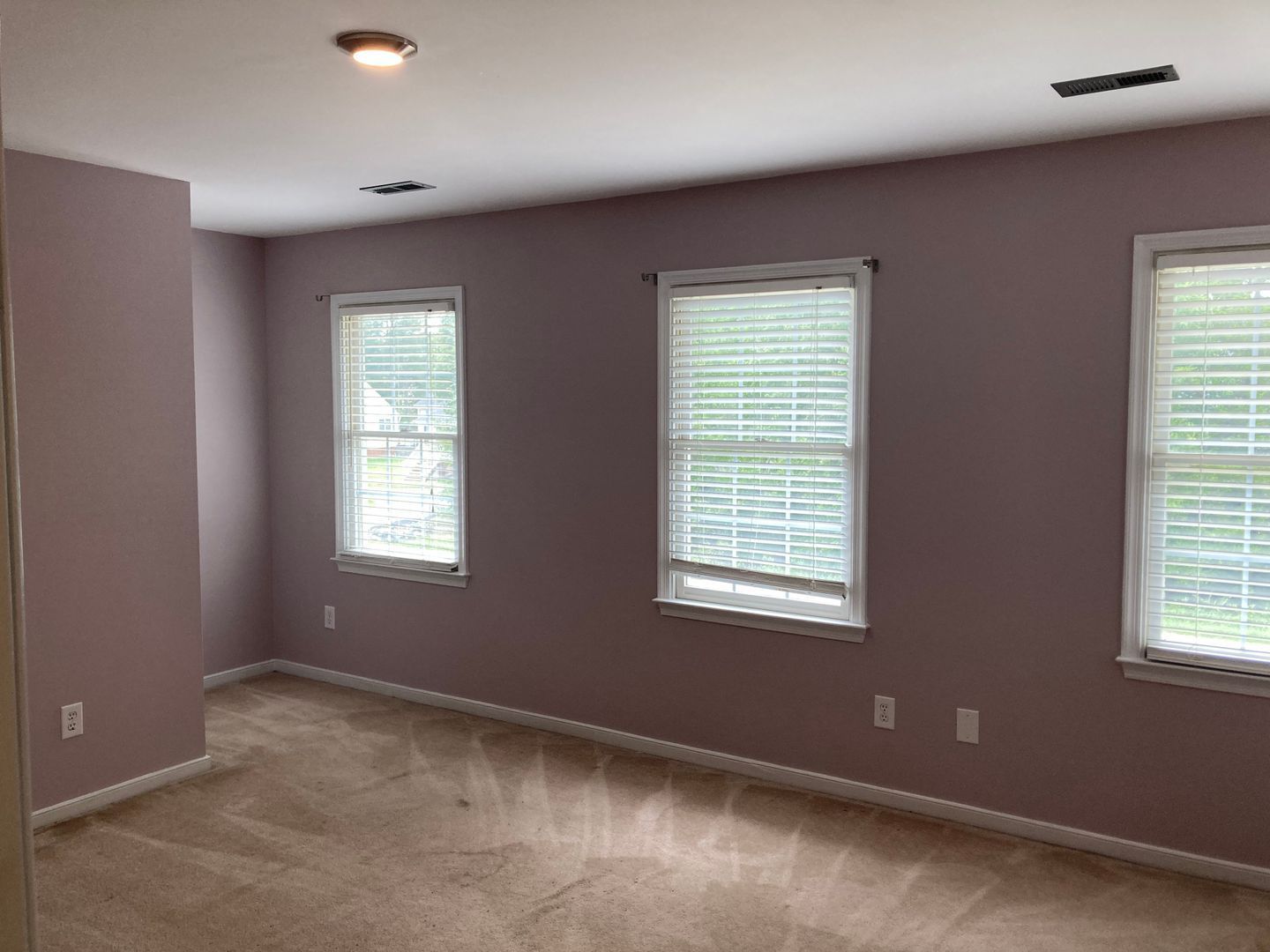 Gallery Image 20