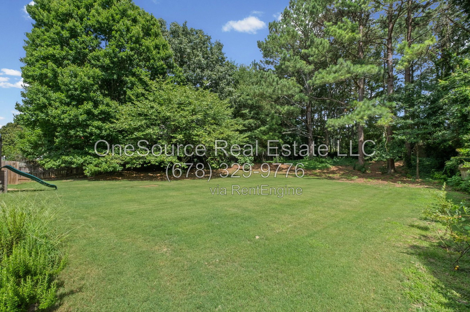 Gallery Image 42