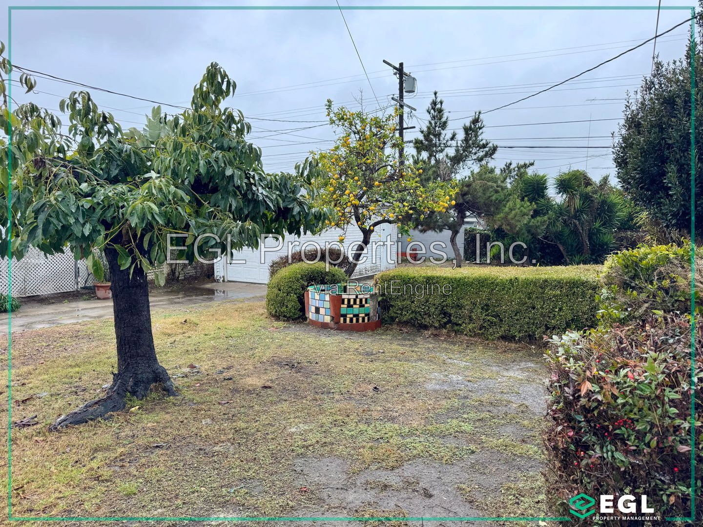 Gallery Image 15