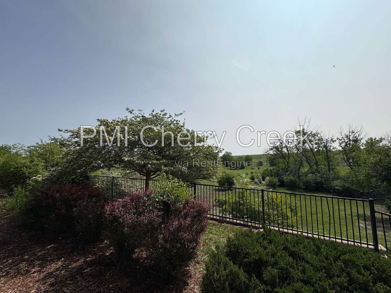 Gallery Image 34