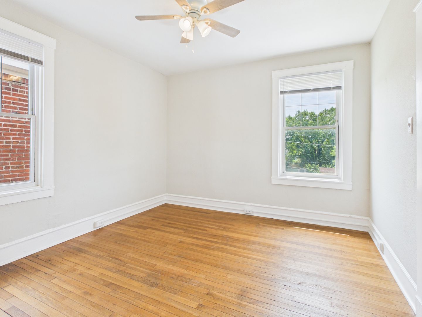 Gallery Image 19