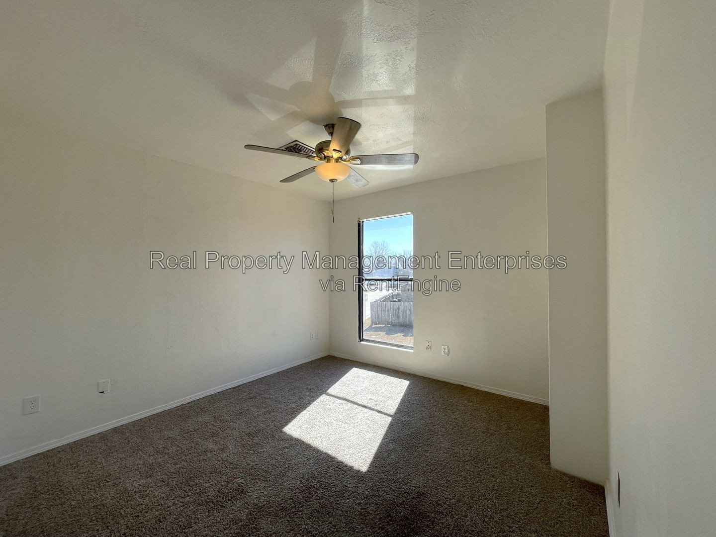 Gallery Image 20