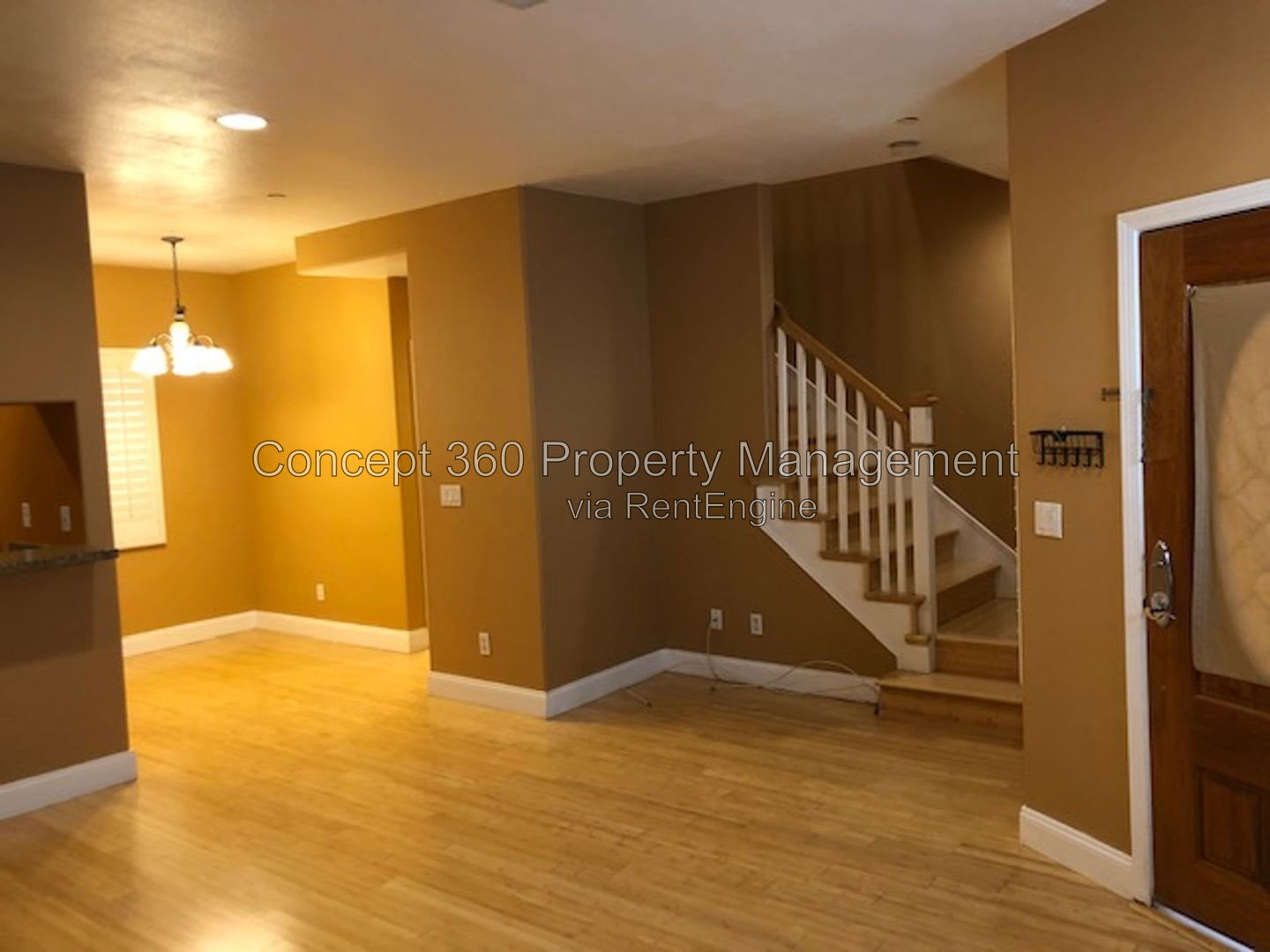Gallery Image 14