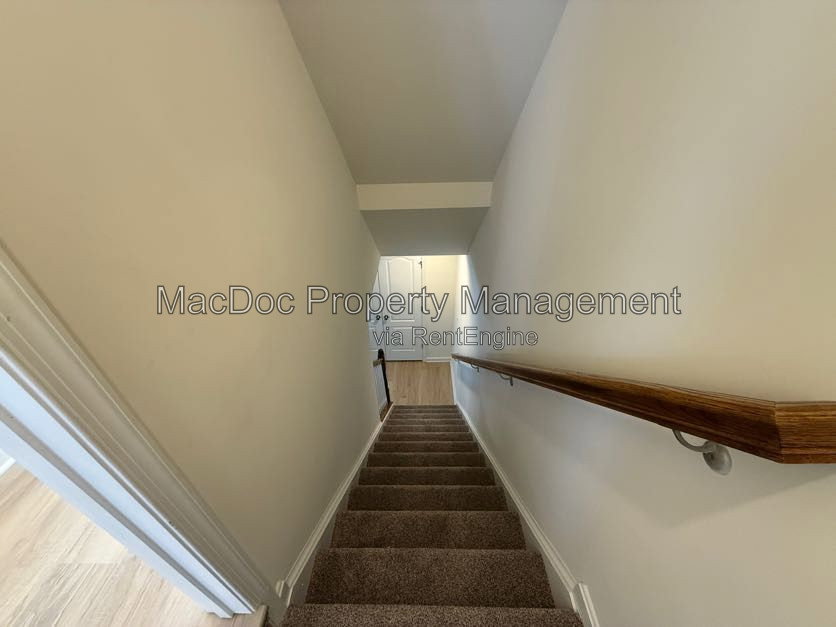 Gallery Image 19
