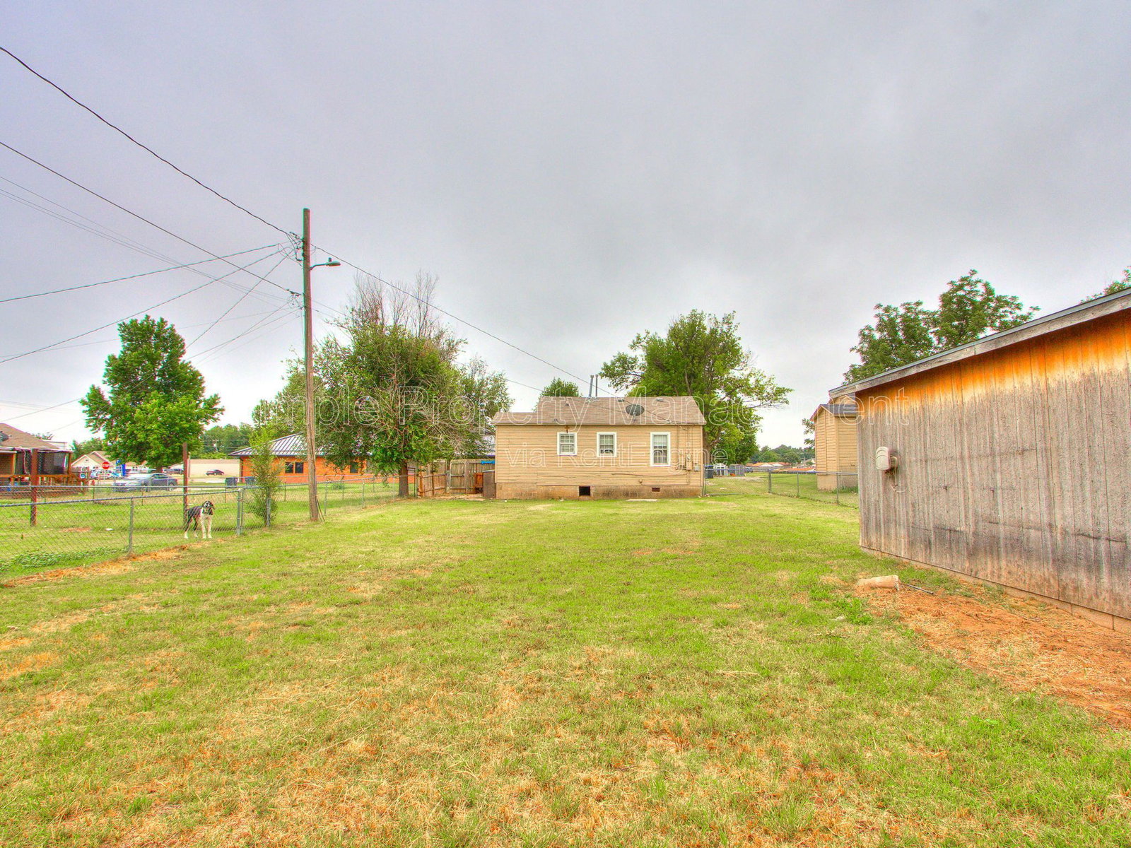 Gallery Image 17