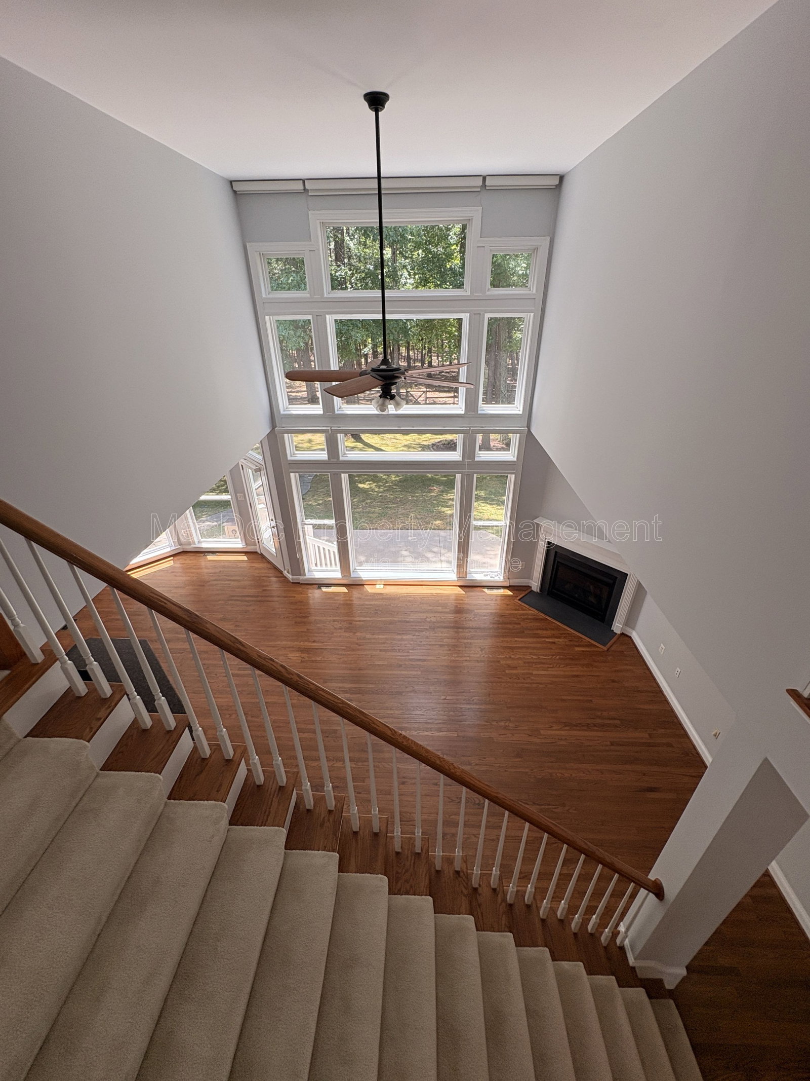 Gallery Image 18