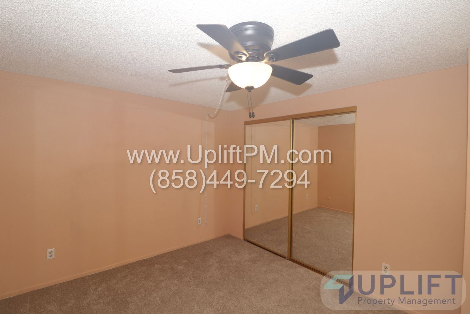 Gallery Image 31