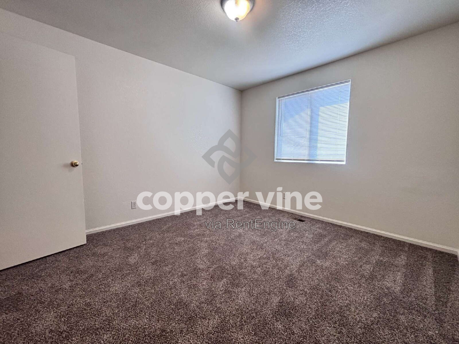 Gallery Image 19