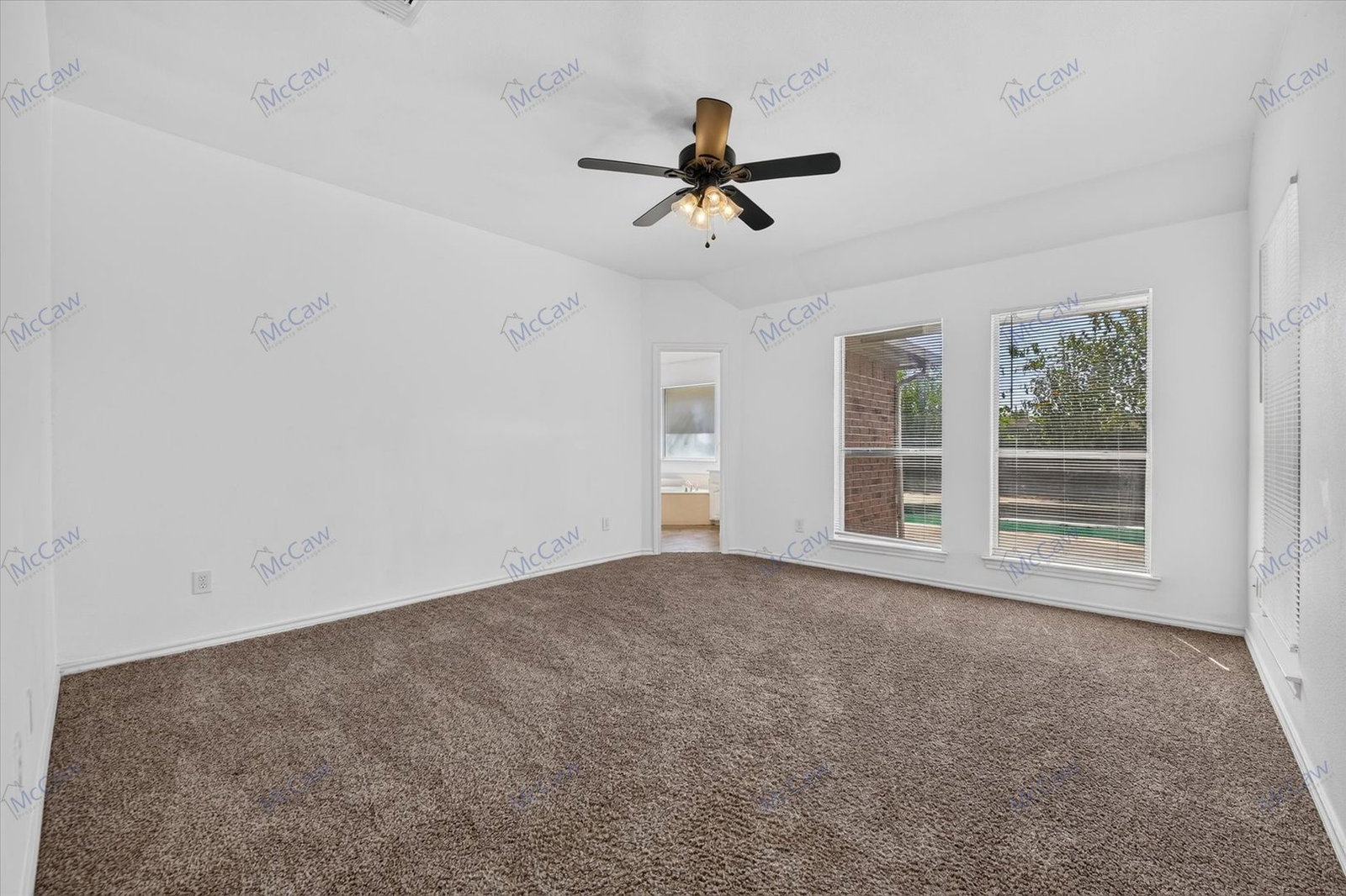 Gallery Image 19