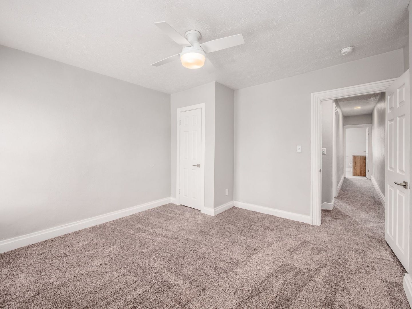 Gallery Image 19