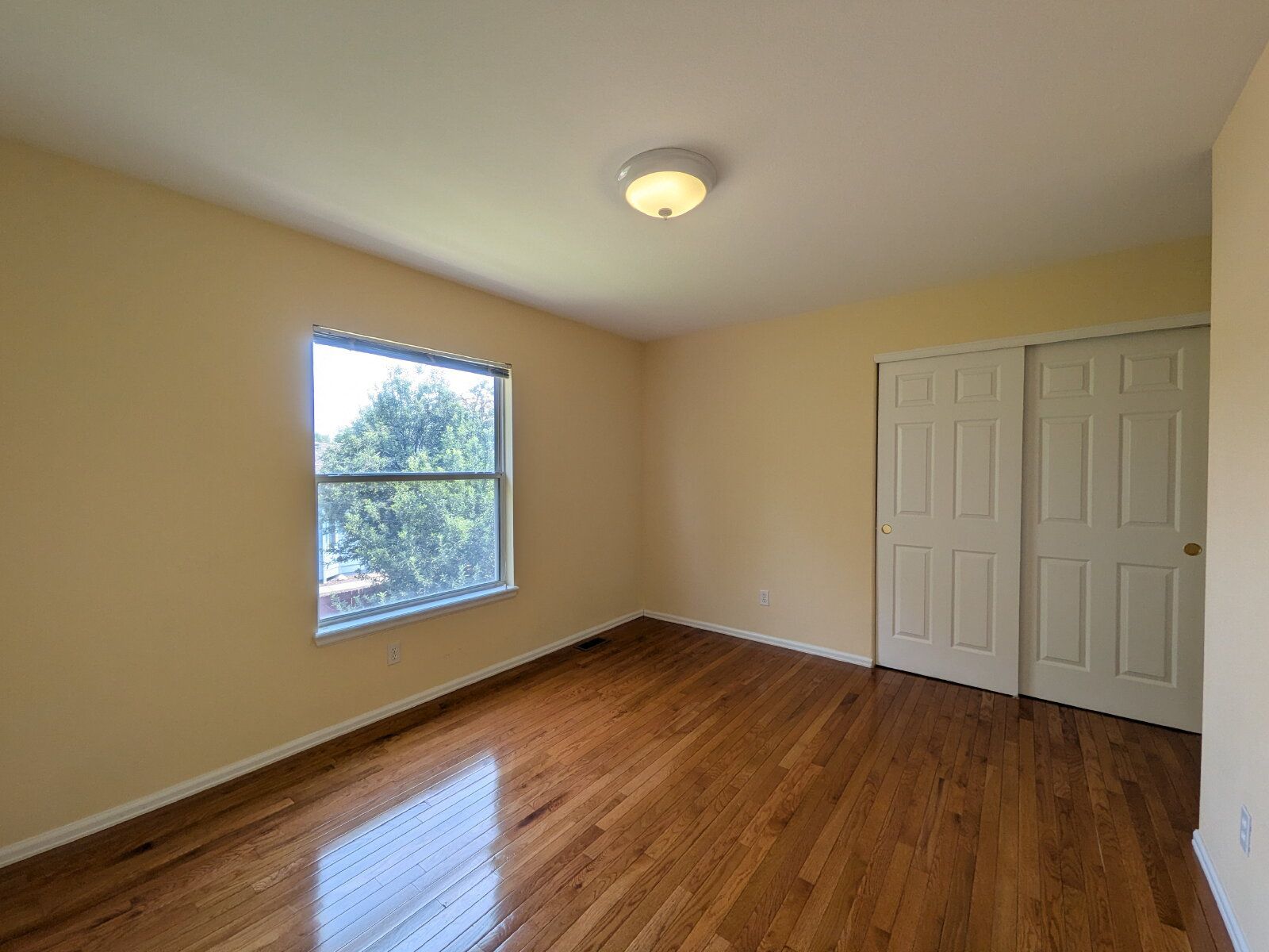 Gallery Image 18