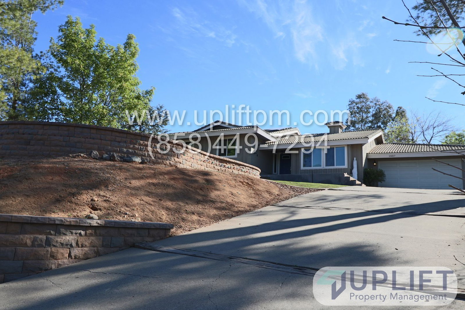 Gallery Image 0
