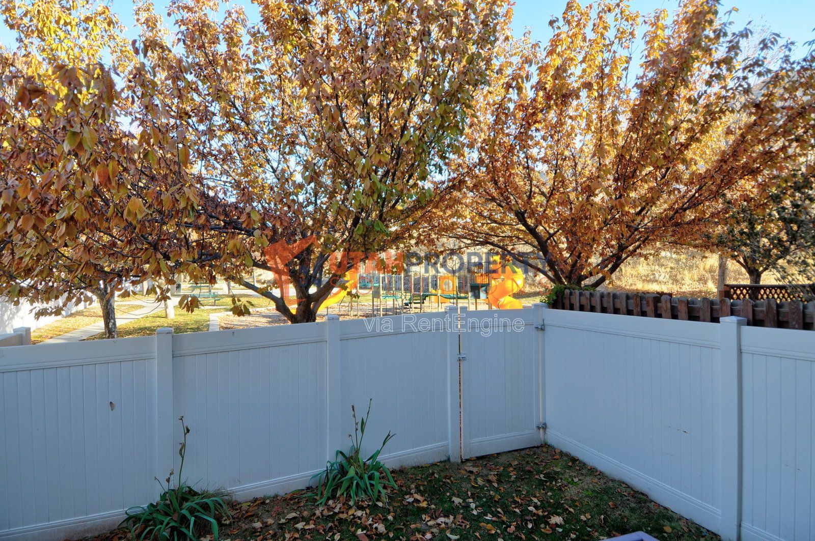 Gallery Image 27