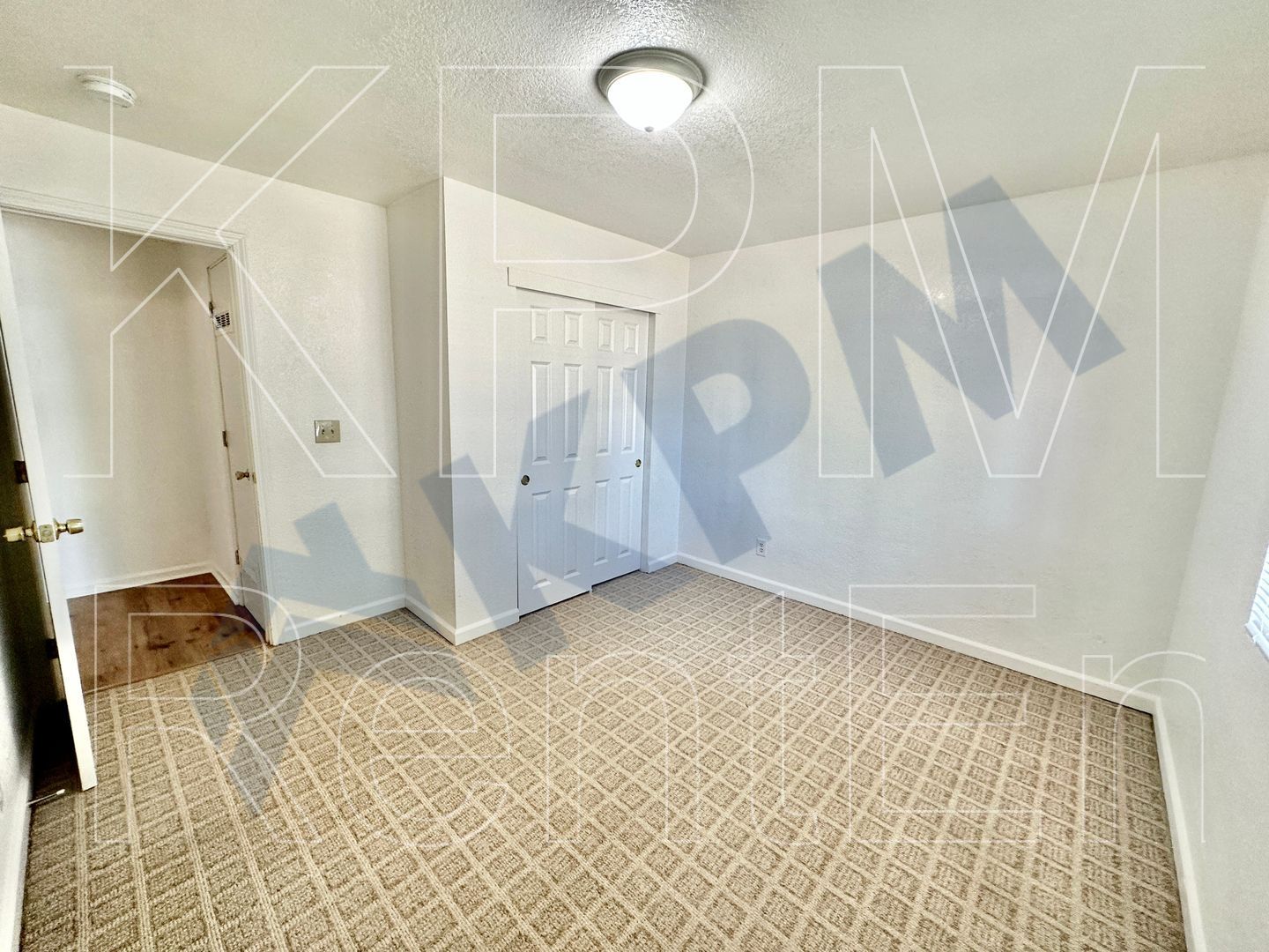 Gallery Image 34