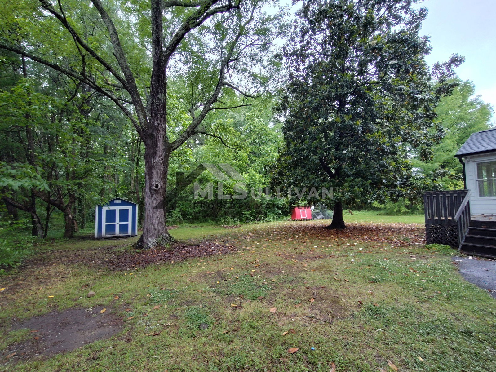 Gallery Image 16