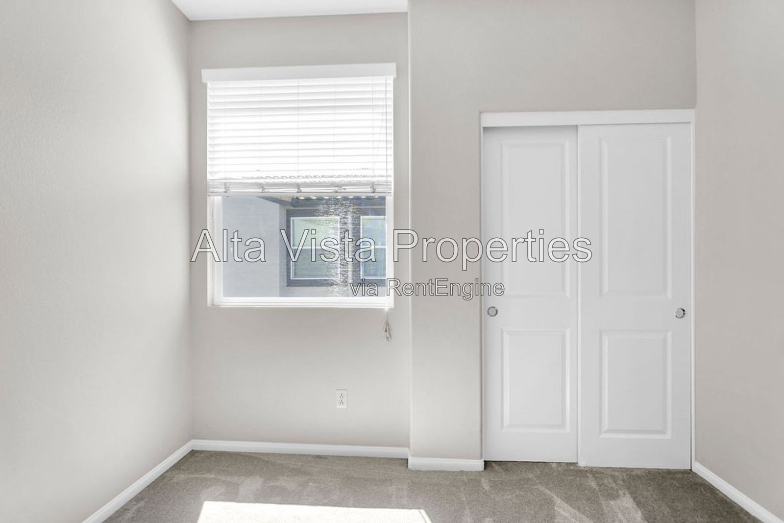 Gallery Image 19