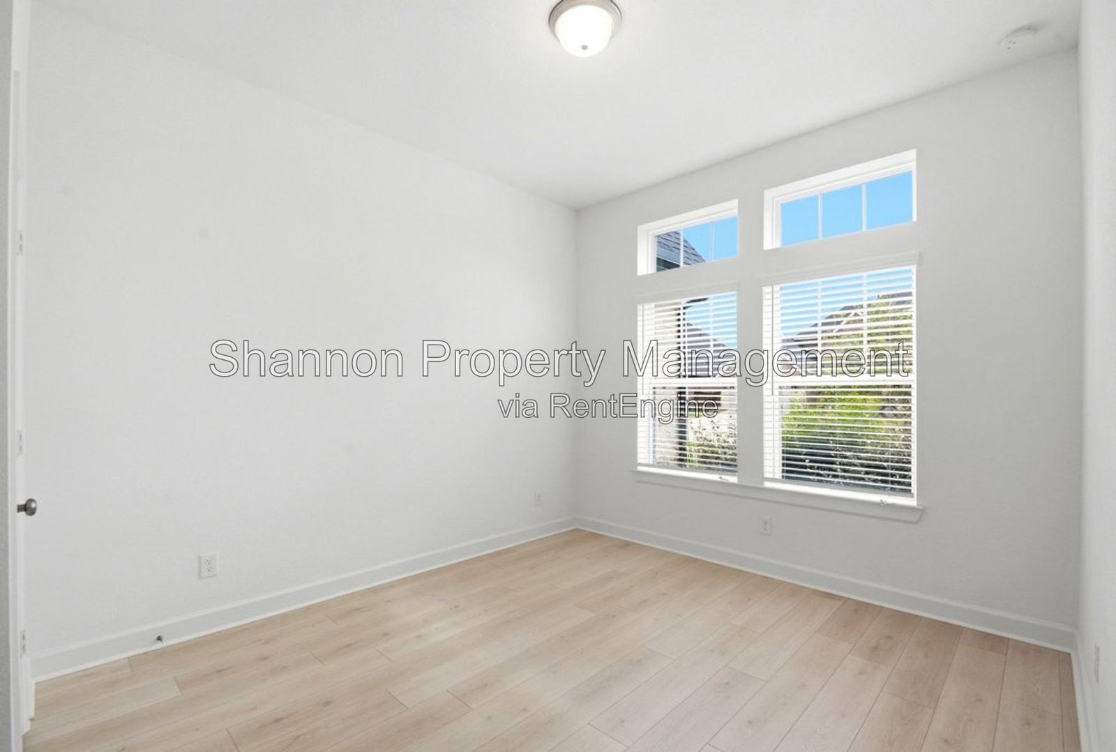 Gallery Image 15