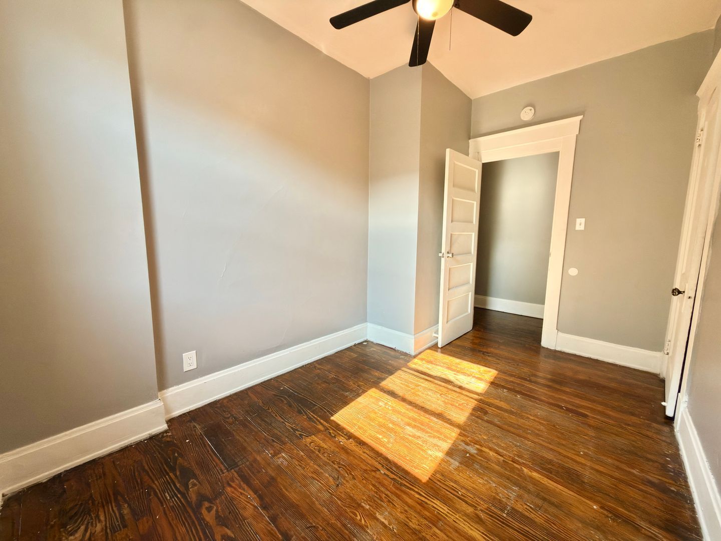 Gallery Image 9