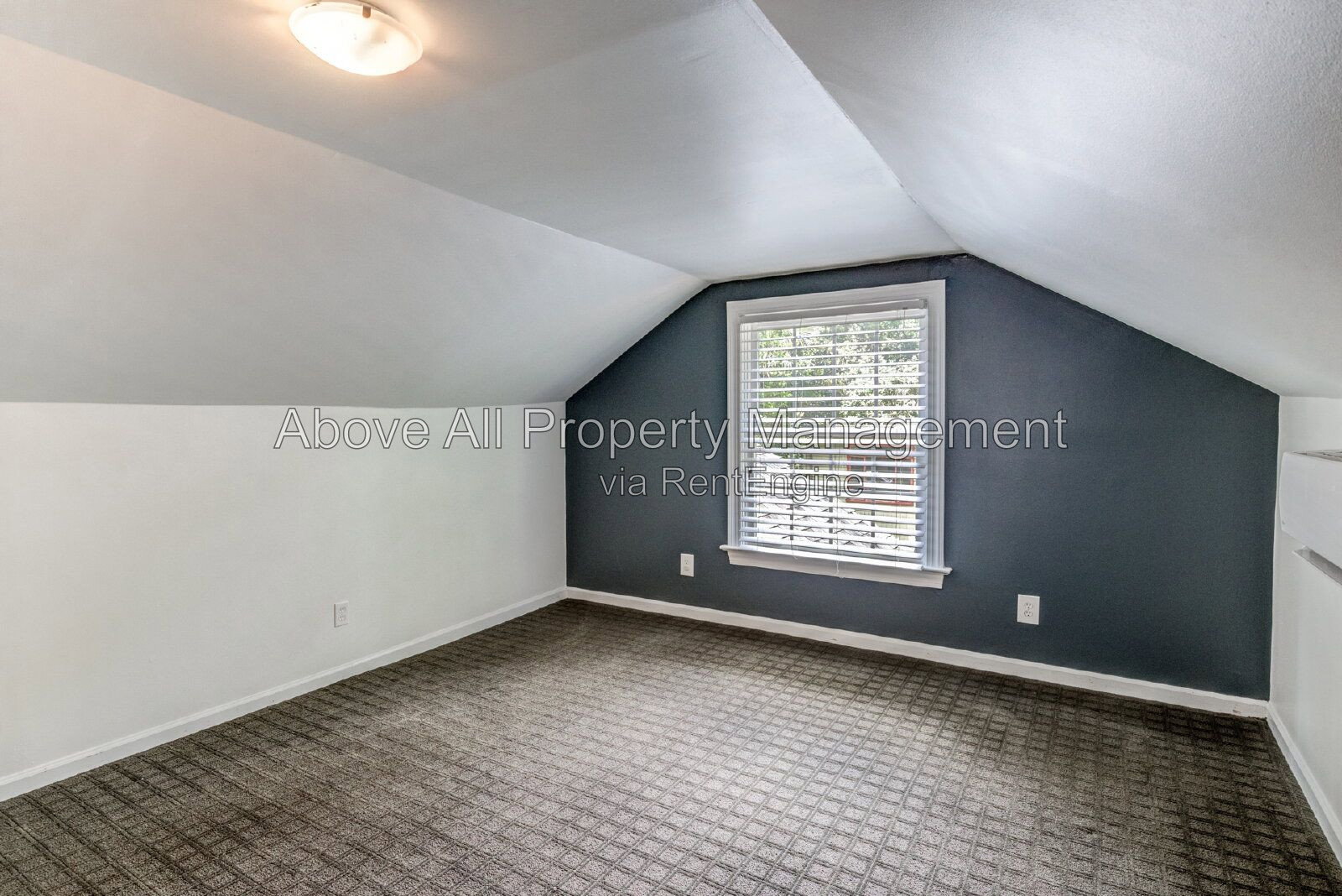 Gallery Image 57