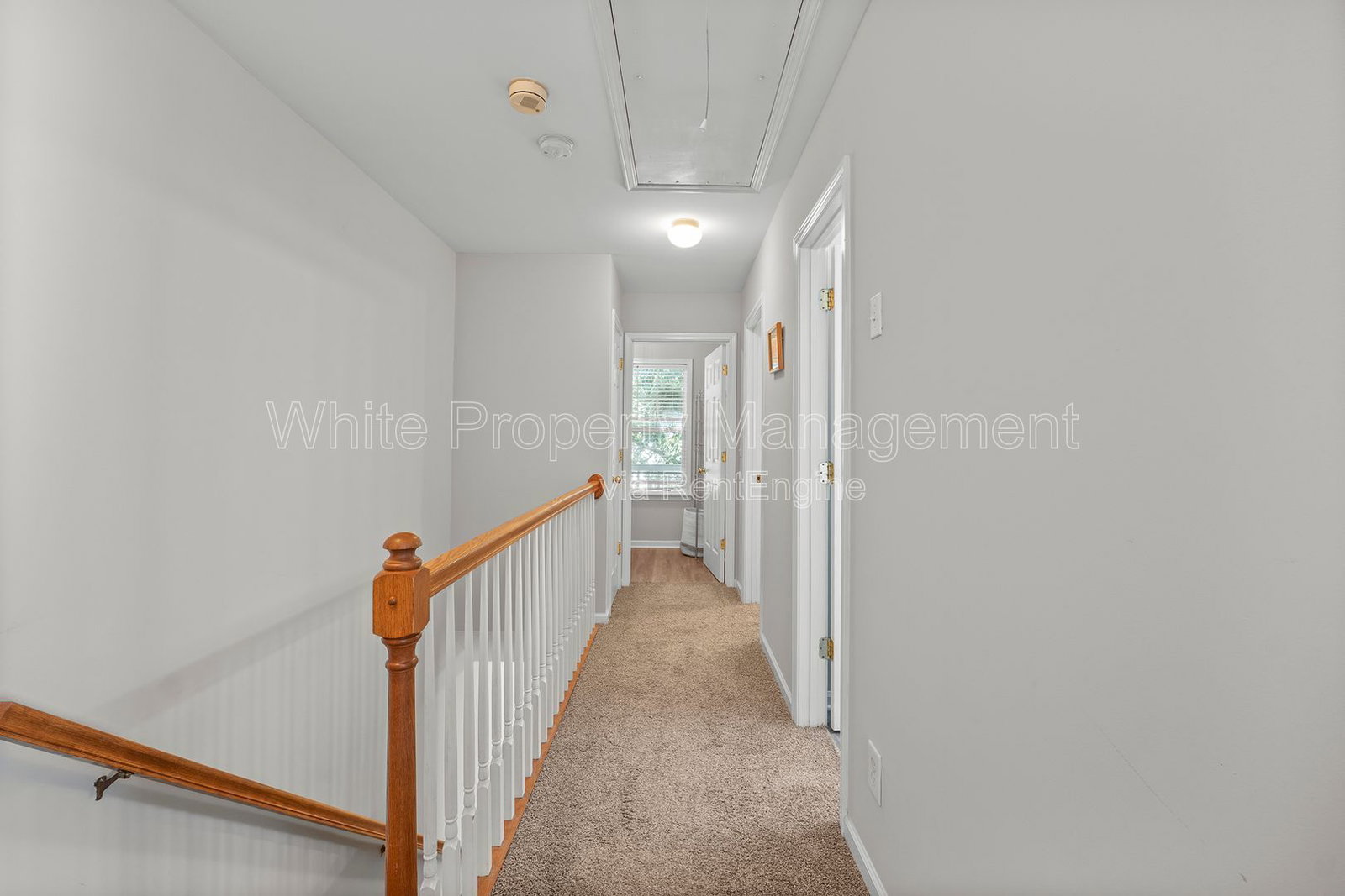 Gallery Image 22