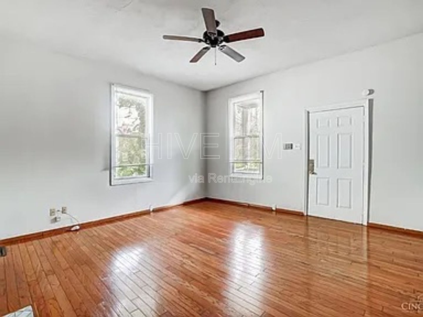 Gallery Image 7