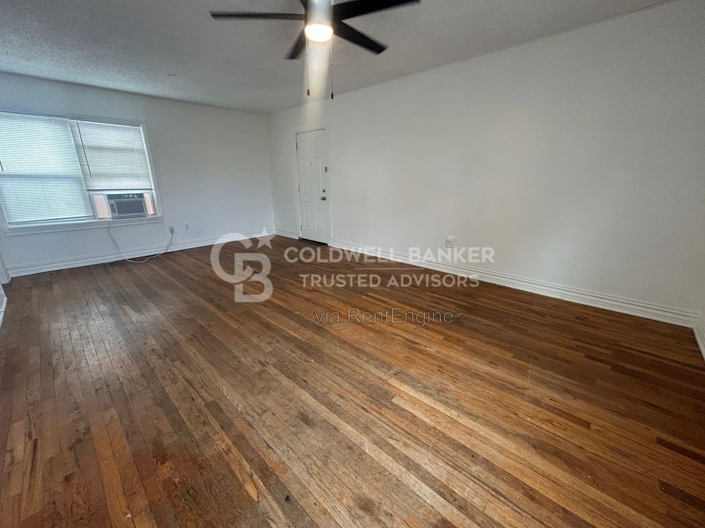 Gallery Image 0