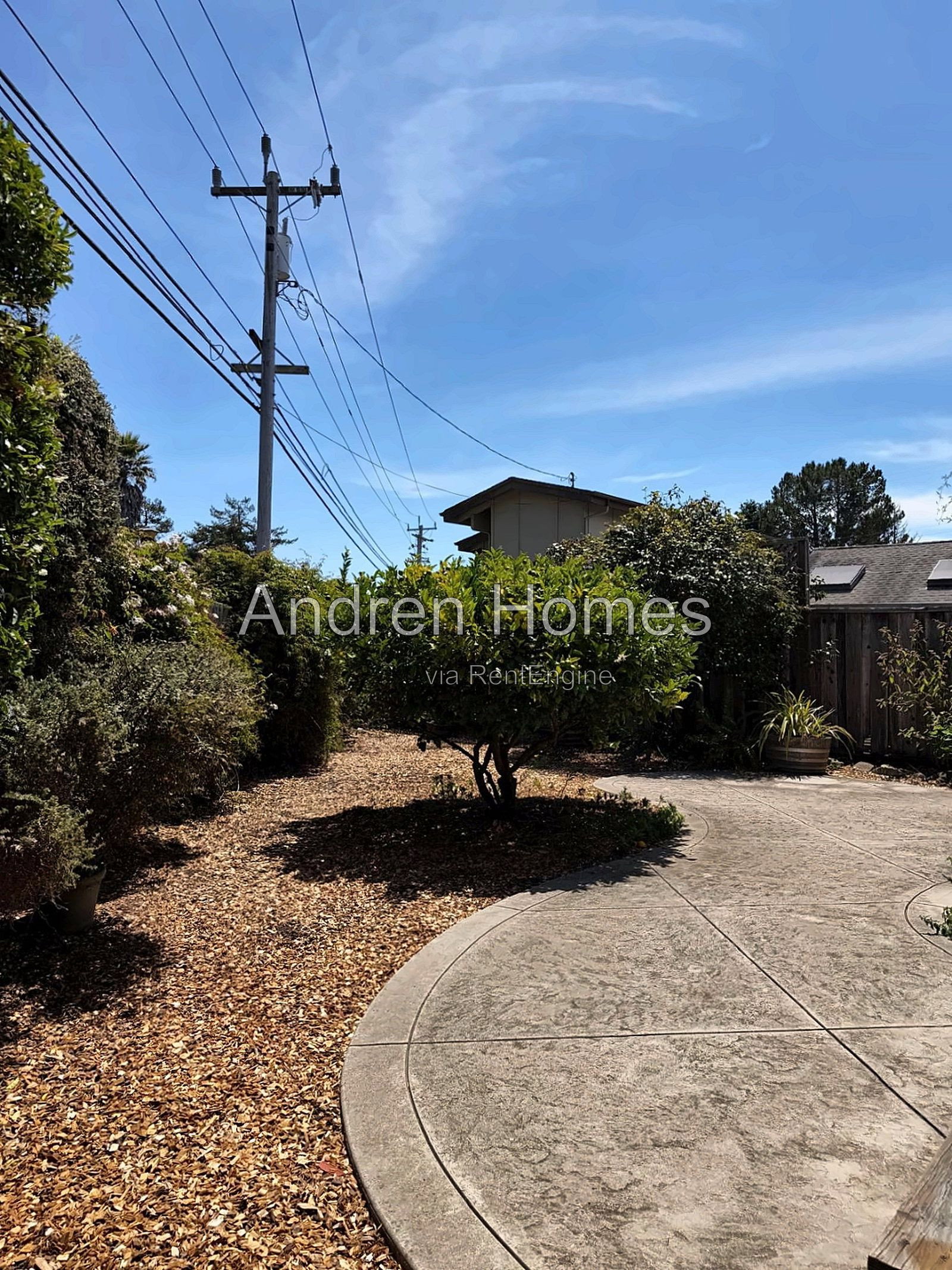 Gallery Image 25