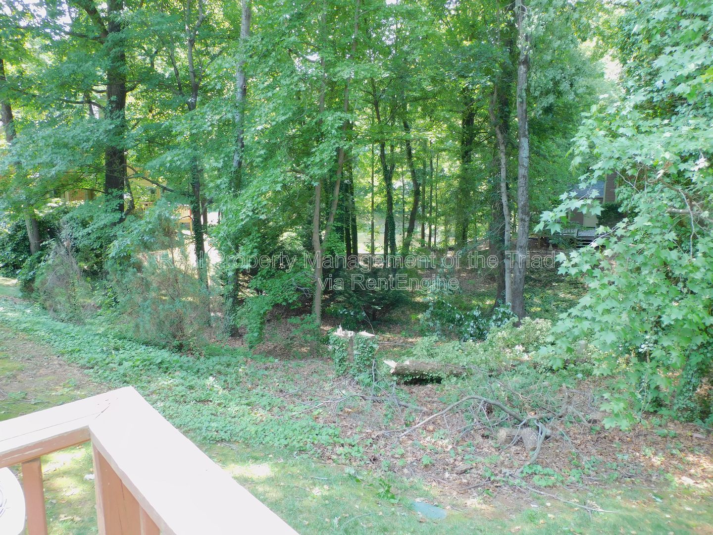 Gallery Image 23