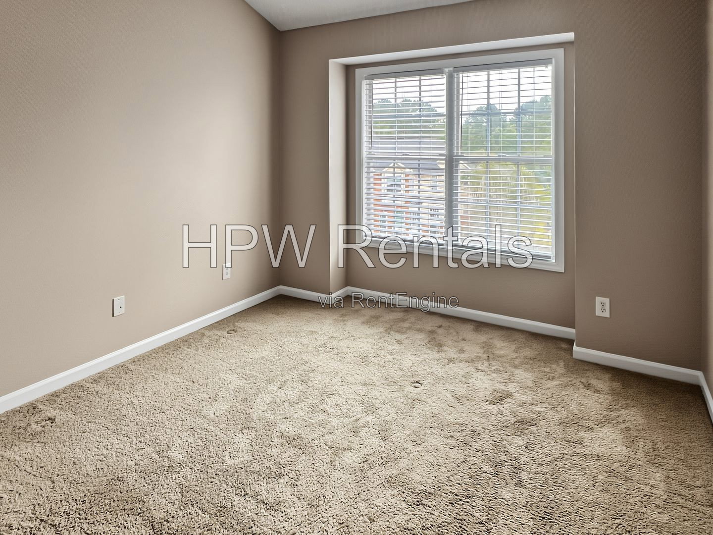 Gallery Image 20