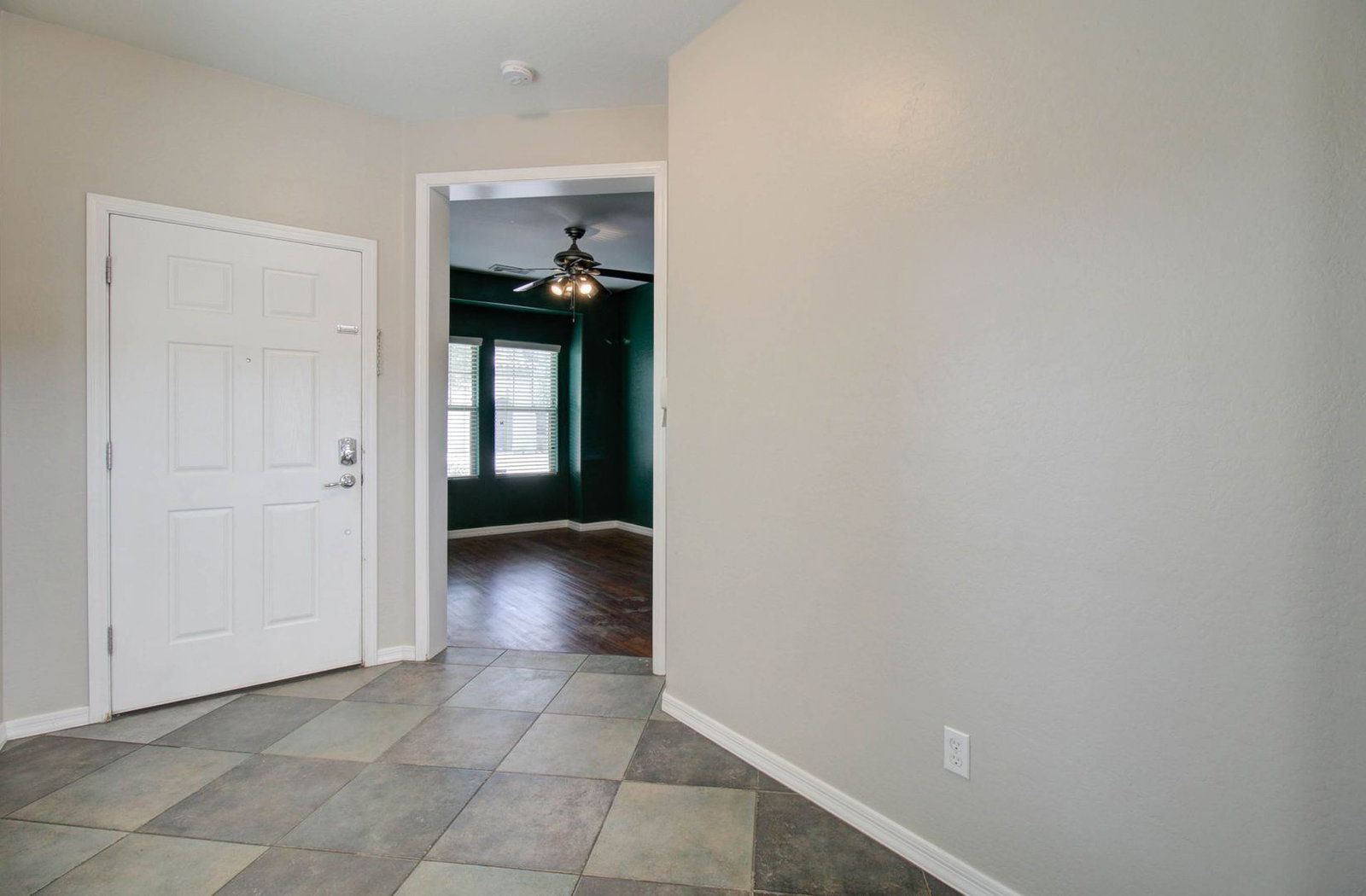 Gallery Image 7