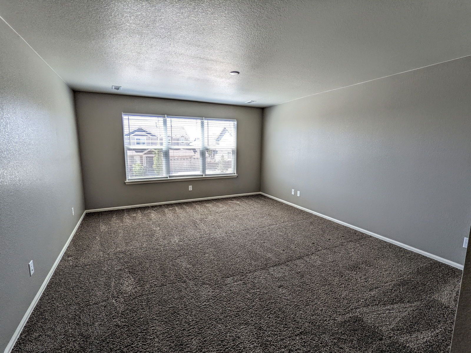Gallery Image 19