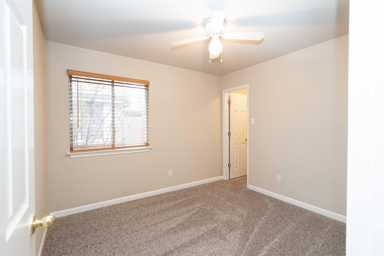Gallery Image 42