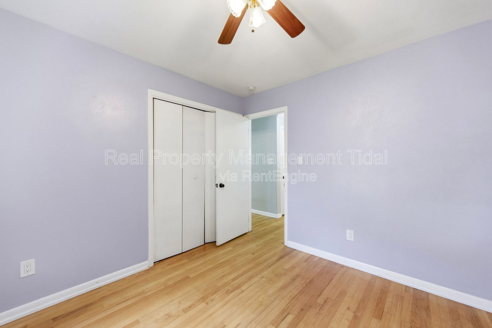 Gallery Image 19